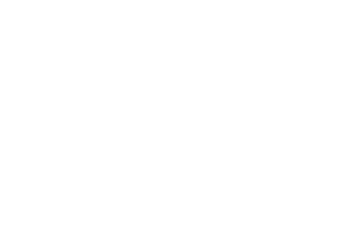 OFFICIAL SELECTION 