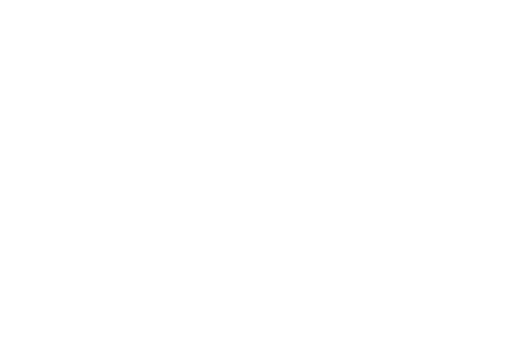MASTER OF ART