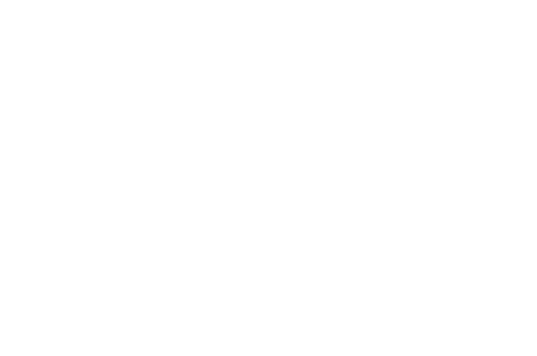OFFICIAL SELECTION 