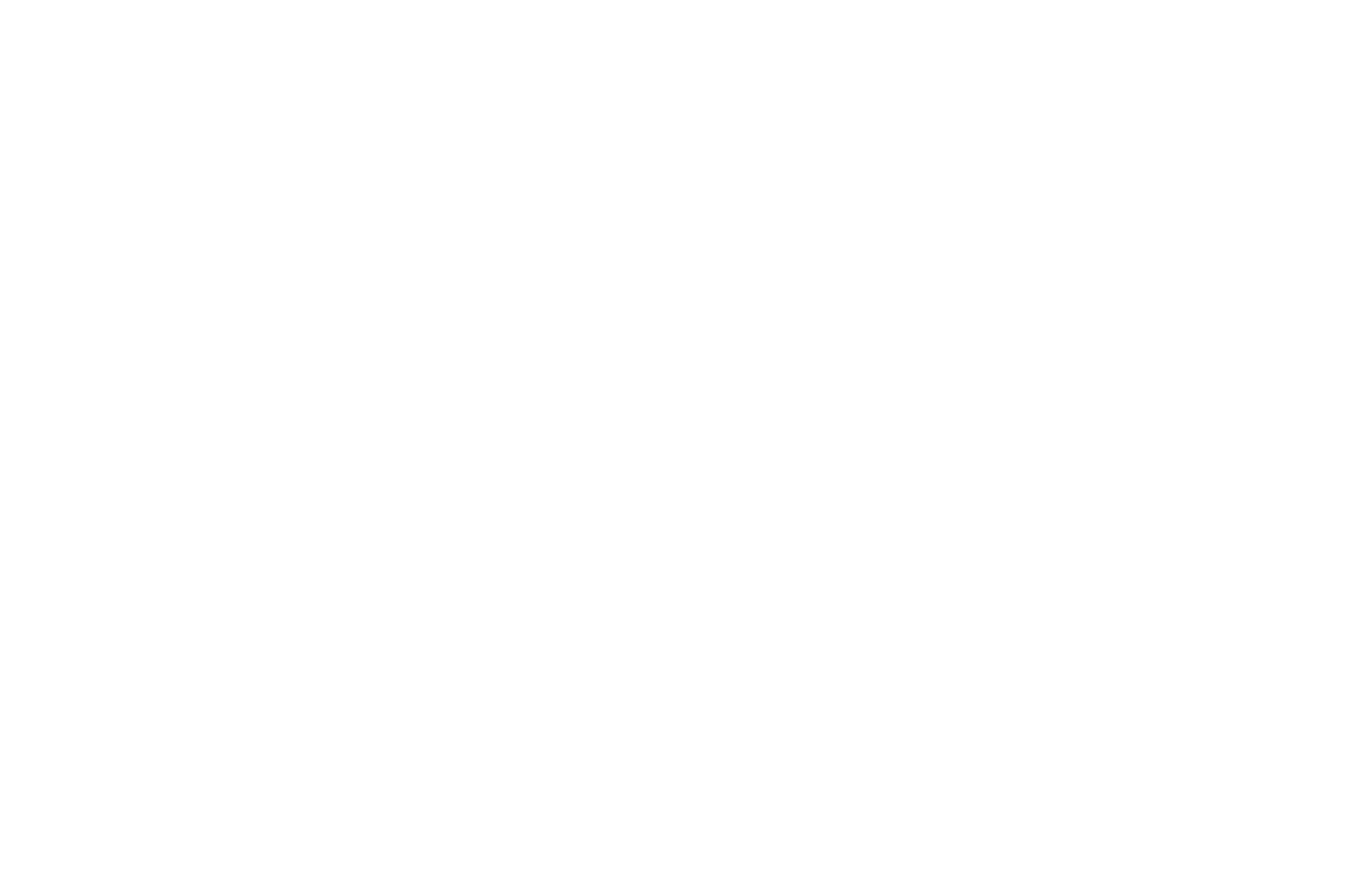 OFFICIAL SELECTION 